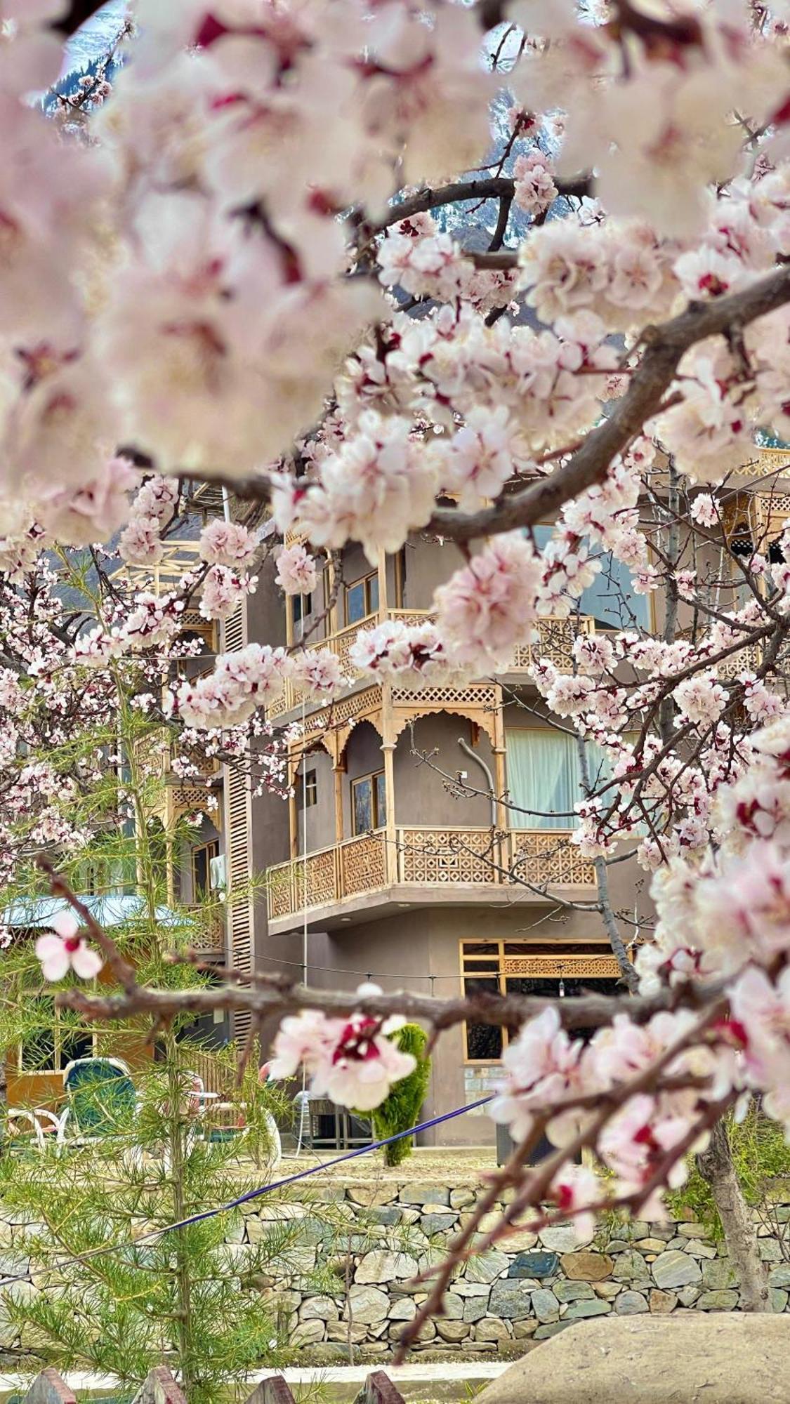 Dumani Nagar Hotel & Resort Karimabad  Exterior foto