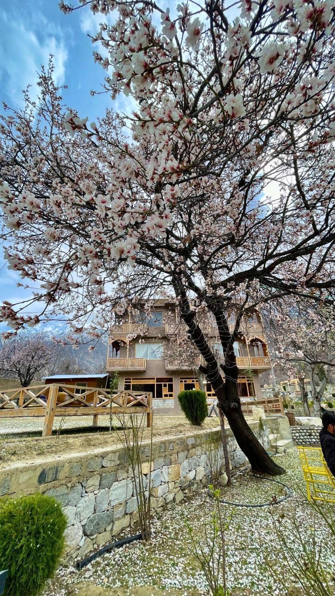 Dumani Nagar Hotel & Resort Karimabad  Exterior foto